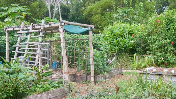 Comment utiliser les principes de la permaculture en formation pour les agriculteurs urbains ?
